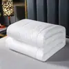 Núcleo de Colcha Estilo Hotel Pousada Peça Única Veludo Penugem Colcha Doméstica Quatro Estações Colcha Primavera e Outono Colcha Espessa Quente