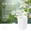 Vela Incenso Interior Baixa Temperatura Fragrância Ambiente Presente de Aniversário para Meninas Darem para Melhores Amigas, Fragrância de Alta Qualidade, Exquisito e Criativo