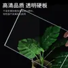Área de Arte de Jardín de Infancia Nuevo Estilo Chino Antiguo Caligrafía Pintura Creación de Entorno Papel Xuan Escritura Lectura Área Colgante Tablero Transparente de PVC