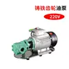 Bomba de Aceite Eléctrica Diésel Zhisheng 12v24v220v Bomba de Aceite a Gasolina Antiexplosión Bomba Autocebante de Alto Flujo