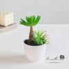 Planta Verde Suculenta Artificial en Maceta Mini Planta Verde Decoración Hogar Jardín Suculenta Flor Falsa Planta de Escritorio para Alféizar