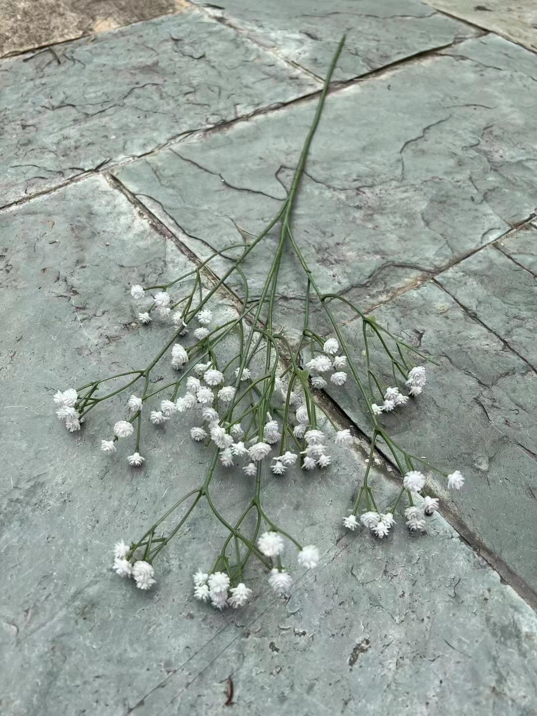 微信图片_20230310111152