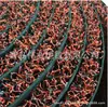 Vendas Diretas de Fábrica Atacado Tapetes de Fio Cortáveis Tapetes para Porta de Entrada Tapetes para Hall de Entrada Antiderrapantes Tapetes para Carro Mineração de Ouro
