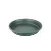 Vaso Redondo Espesso de Galão Personalizado Segunda Geração Verde Rosa Solo-Plantado Plástico Vaso de Flores Criativo de Mesa