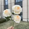 Huaxigou 2025 Primavera y Verano Nuevos Productos Color Champaña Económico Boda Boda Flores Artificiales Mayoreo