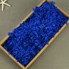 Flor Mágica Flor Eterna AB Anna Hortênsia 100g Aniversário Real Flor Diy Material Flor Seca Decoração Namorada Presente