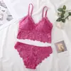 Comércio Exterior Transfronteiriço Conjunto Sexy de Renda com Sutiã Francês Triângulo com Bojo Sutiã Anti-Queda Roupa Íntima para Mulheres