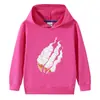 Suéter con Capucha de Algodón para Niños y Niñas Otoño e Invierno 2023 Suéter Pulóver para Niños Pequeños y Medianos Ropa para Bebés Suéter Coreano para Niños Moda