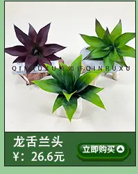 造景绿植