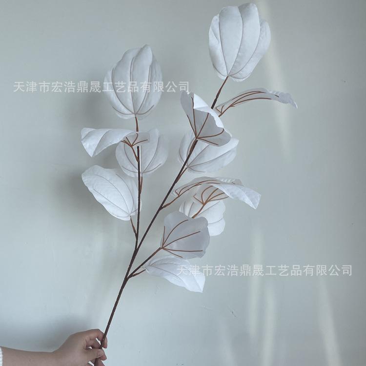 微信图片_2022050215214010_副本