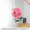 Flores de Lírio de Madeira com Pétalas Grandes São Exibidas na Sala de Estar com Vários Arranjos Florais Combinados com Peças Decorativas Suaves e Arranjos Florais em Vasos na Entrada