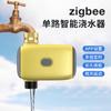 Dispositivo Inteligente de Irrigação Zigbee de Canal Único Transfronteiriço para Jardim e Gramado, Dispositivo de Irrigação de Flores com Controle por Temporizador, Irrigação Automática