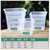Maceta Hidropónica Simple para Plantas Verdes Soporte de Maceta Soporte para Tanque de Tortugas Tanque de Peces Soporte de Tubo de PVC Plástico