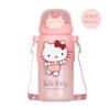 Fábrica Aike Garrafa Térmica para Bebida Direta Doodle 460ml Sanrio Tampa de Bomba Corda para Pendurar Caixa Colorida Presente Copo de Dupla Utilização
