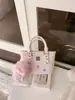 Bolsa de Canasta de Verduras Portátil para Niña 2026 Nuevo Estilo Portátil Estampado de Lazo Bolsa Cruzada al Hombro de Dibujos Animados