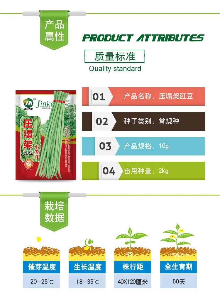 压塌架豇豆
