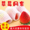 Malla Protectora para Frutas con Protección de Espuma a Prueba de Golpes, Bolsa de Malla de Espuma para Naranjas, Mandarinas, Kiwis, Peras, Manzanas y Granadas