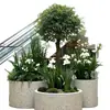 Jardineras de terrazo personalizadas para paisajismo de calles comerciales, jardineras de entrada para oficinas de ventas, macetas de hormigón personalizadas para áreas comerciales