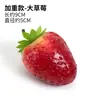 Adornos de frutas ventana frutas falsas juego de pesas accesorios de educación temprana modelo de manzana de plástico decoración de verduras