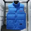 Gilet de Inverno Moose para Homens/Mulheres, Colete Acolchoado, Aquecedor Corporal