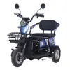 Exportación Mayorista de Fábrica Transfronteriza de Vehículos de Movilidad de Ocio para Adultos y Ancianos, Triciclos Eléctricos Mini Domésticos