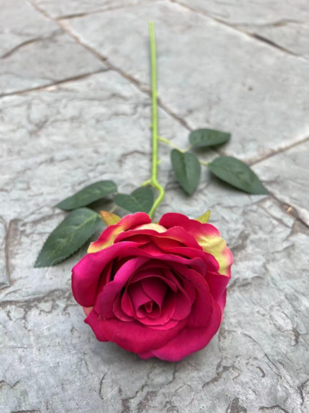 微信图片_20230330113506