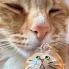 Dispositivo de Almacenamiento de Pelo de Gato Colgante Gashapon Cápsula de Almacenamiento de Pelo de Gato Colgante Caja de Almacenamiento Conmemorativa Colgante Colección DIY