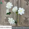 Hibisco Peônia de Galhos Altos com 5 Cabeças, Flor de Macieira Ornamental, Arranjo de Flores de Seda no Local do Evento da Cerimônia, Posicionamento de Flores Artificiais para Adereços de Fotografia
