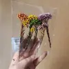 Bolsas de Porciones Pequeñas de Flores Secas, Flores Conservadas, Abanicos Hechos a Mano para DIY, Arreglos Florales Flotantes, Actividades de Team Building, Pegamento, Pinzas
