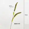Espiga de grano de rama única de simulación que contiene Yang, espiga de mijo falso de jardín natural, espiga de trigo falso, decoración del hogar, decoración de casa de huéspedes, fotografía
