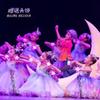 Traje de Baile para Niñas Pequeña Estrella Nuevo Estilo 1 de Junio Traje de Baile Pequeña Estrella Falda de Tul de Princesa de Jardín de Infancia Traje de Baile para Niños