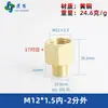Adaptador de manómetro de cobre puro, reductor con roscas internas y externas M5M6M8M10M12M14*1.5M16 G1/4