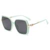 Nuevas Gafas de Sol de Lente Polarizada Tr90 Moda Europea y Americana Gafas de Sol Retro para Mujer Gafas de Sol Anti-Uv