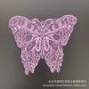 Borboleta Bordado Lace Corpete Pano Sexy Acessórios de Vestuário Vestido de Noiva Patch Underwear Pano Decalque