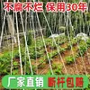 Marco de Invernadero Pequeño en Forma de Arco con Película de Fibra de Vidrio para Fresas, Postes Redondos, Estructura de Invernadero Agrícola de Alta Elasticidad, Postes de Arco de Película para Cultivo de Verduras al Aire Libre