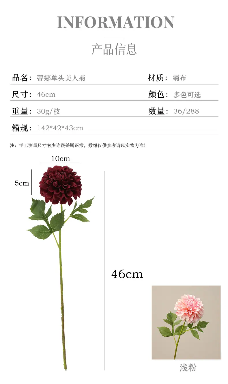蒂娜单头美人菊_03.jpg