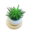 Plantas Suculentas Artificiales en Maceta Disponibles con Macetas de Plástico Cerámico Imitación Tipo Diamante, Decoración Popular para el Hogar y Ornamentos de Paisajismo Transfronterizos al por Mayor