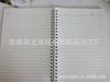 Fábrica direta personalizada bonito desenho animado PP bobina livro estudante exercício livro A5 Notebook bloco de notas