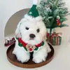 Gato Cão de Estimação Floco de Neve de Natal Coleira Chapéu de Lã Feito à Mão Traje Vestido para Cachorro Teddy Atacado