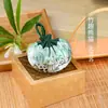 Saquitos de palacio de estilo chino con temática de animales, bolsas vacías para el Festival de Otoño, saquitos de oración portátiles, brocado tejido con borlas, bolsitas auspiciosas, al por mayor