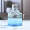 Vaso de Vidro Sódio-Cálcio Atacado Transfronteiriço com Listras Verticais, Vaso de Vidro Tendência Degrade para Plantas Hidropônicas Decoração de Casa