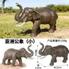 Simulação Transfronteiriça Modelo de Vida Selvagem Conjunto Sólido de Onça-pintada e Guepardo Brinquedo Enfeites de Leopardo Africano