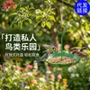 Nuevo producto transfronterizo: comedero para pájaros con forma de paraguas y depósito de agua, manualidad colgante para exteriores, decoración de jardín y patio