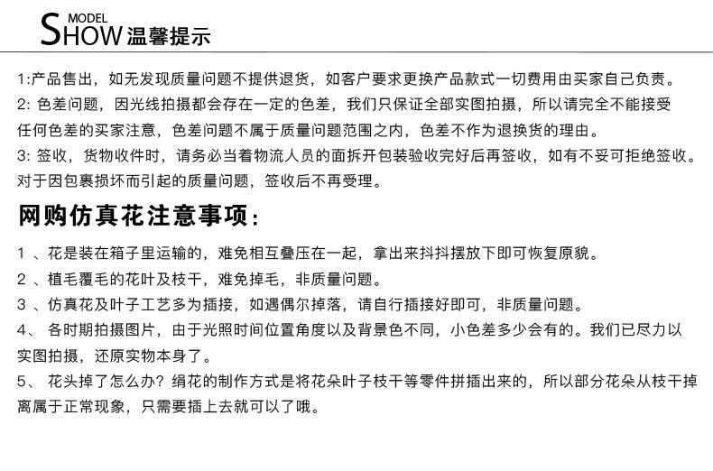 发财果_18.jpg