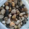 Piedras de Lluvia Pulidas de Colores Fabricante Venta al por Mayor Guijarros de Río Pavimento de Parques Piedras de Lluvia Pulidas Exportación Transfronteriza