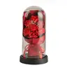 Cúpula de Cristal con Flor de Rosa y Luz, Flor de Jabón, Flor Preservada, Regalo Transfronterizo para el Día de San Valentín