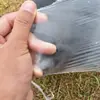 Xian'an Film Película de Mulch Blanco Plástico Agrícola Transparente Invernadero de Frutales y Hortalizas Siembra Deshierbe Mantenimiento de Ingeniería Geomembrana