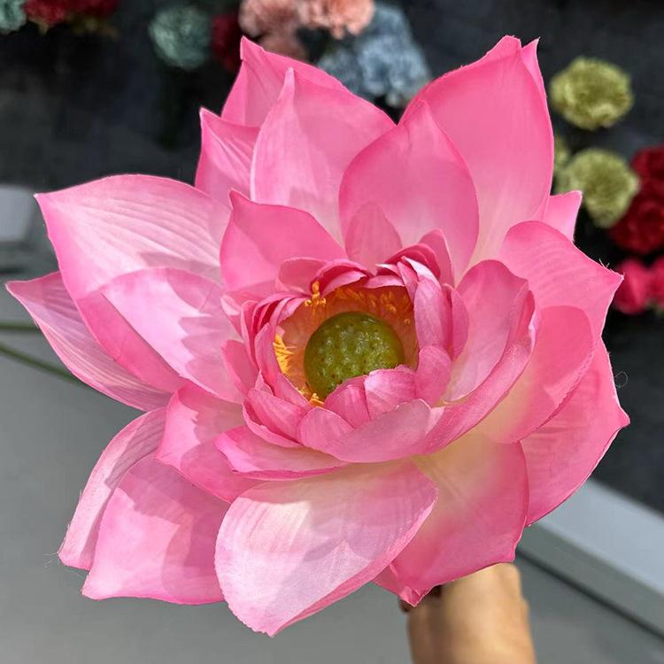 单支吉祥荷花-浅粉.jpg
