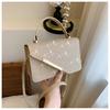 Bolsa Lateral de Ferro Chanfrado Popular Feminina 2024 Primavera e Verão Nova Cor Sólida Pequena Bolsa Quadrada Casual Ombro Crossbody Bolsa