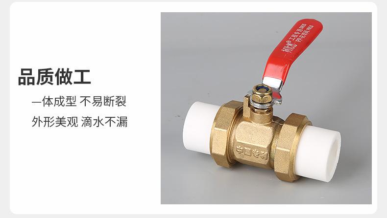 详情 (13).jpg